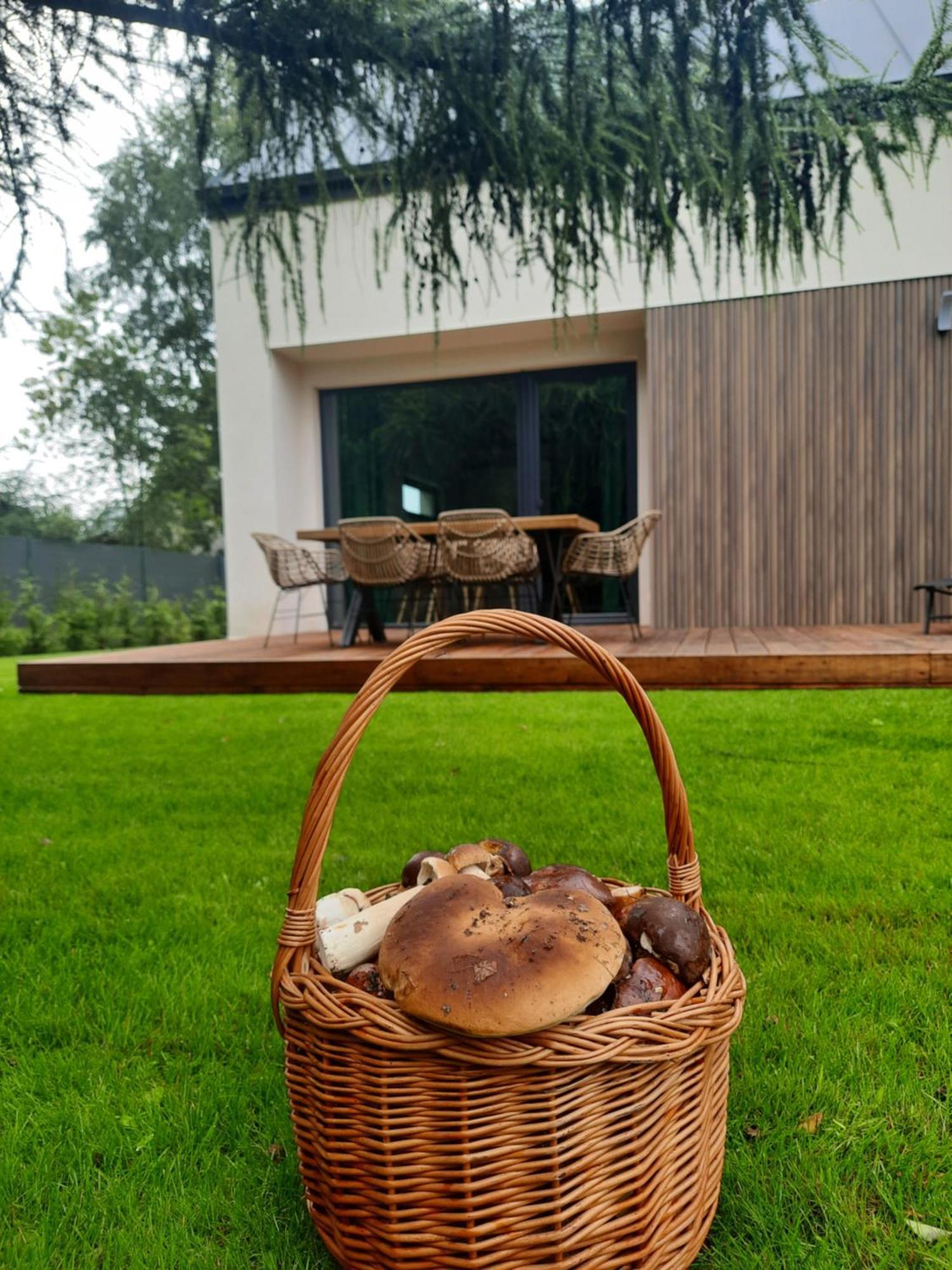Villa Sosnowe Zacisze Sasino Esterno foto