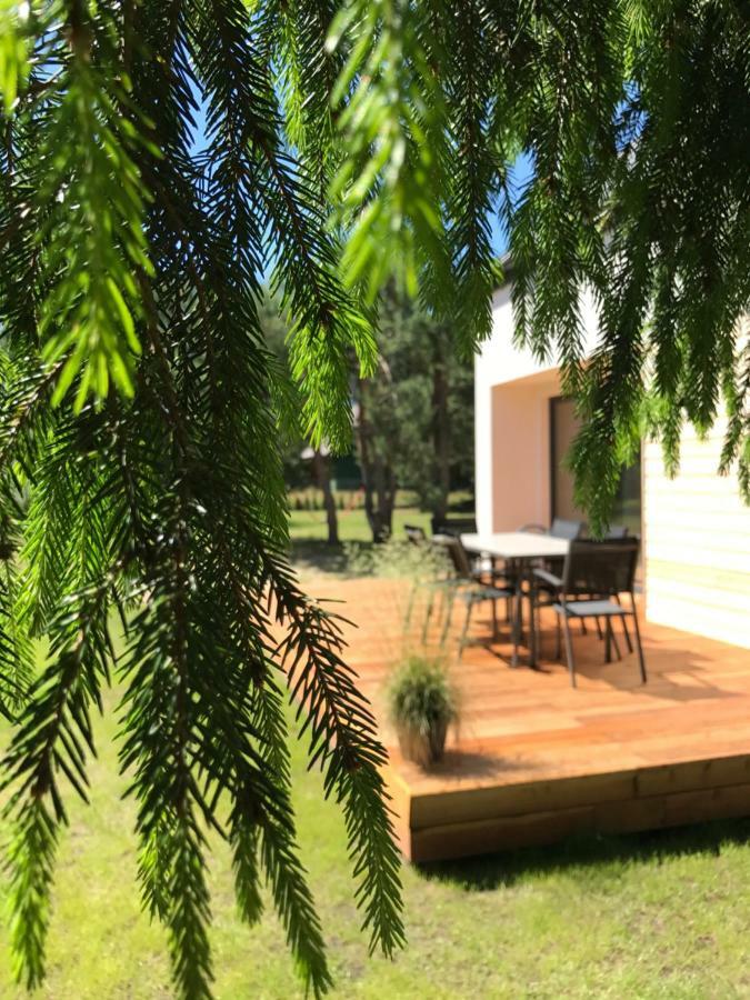 Villa Sosnowe Zacisze Sasino Esterno foto